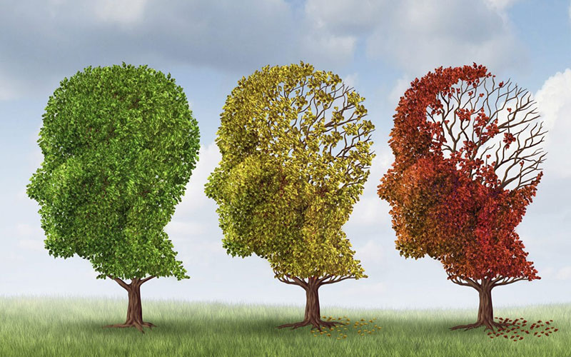 A series of trees all shaped like a human head in profile. The far left is green and fully leaved, the center tree is yellow and leaves have started to fall from where the brain would be and piling on the ground, and the far right tree is red with almost no leaves where the brain would be.